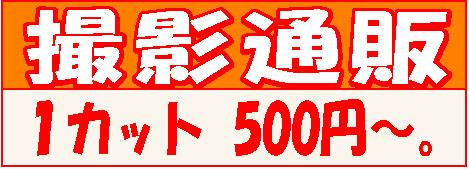 撮影通販価格 1カット500円~
